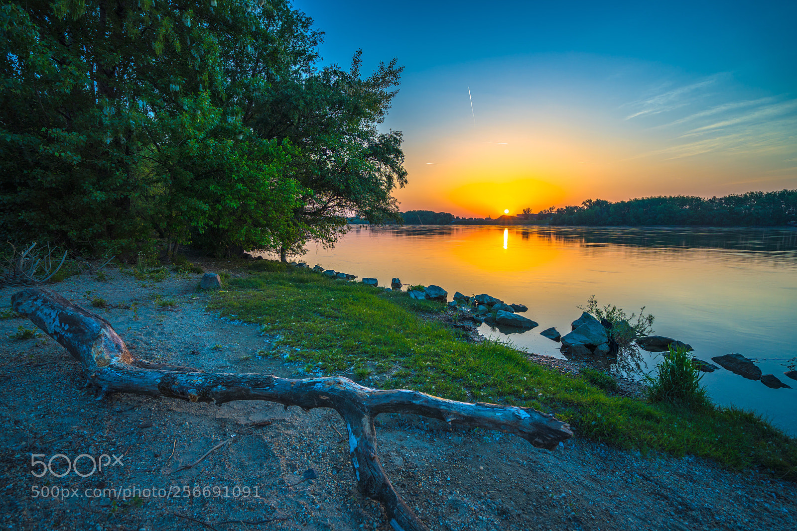 Sony a7R III sample photo. Morning... photography