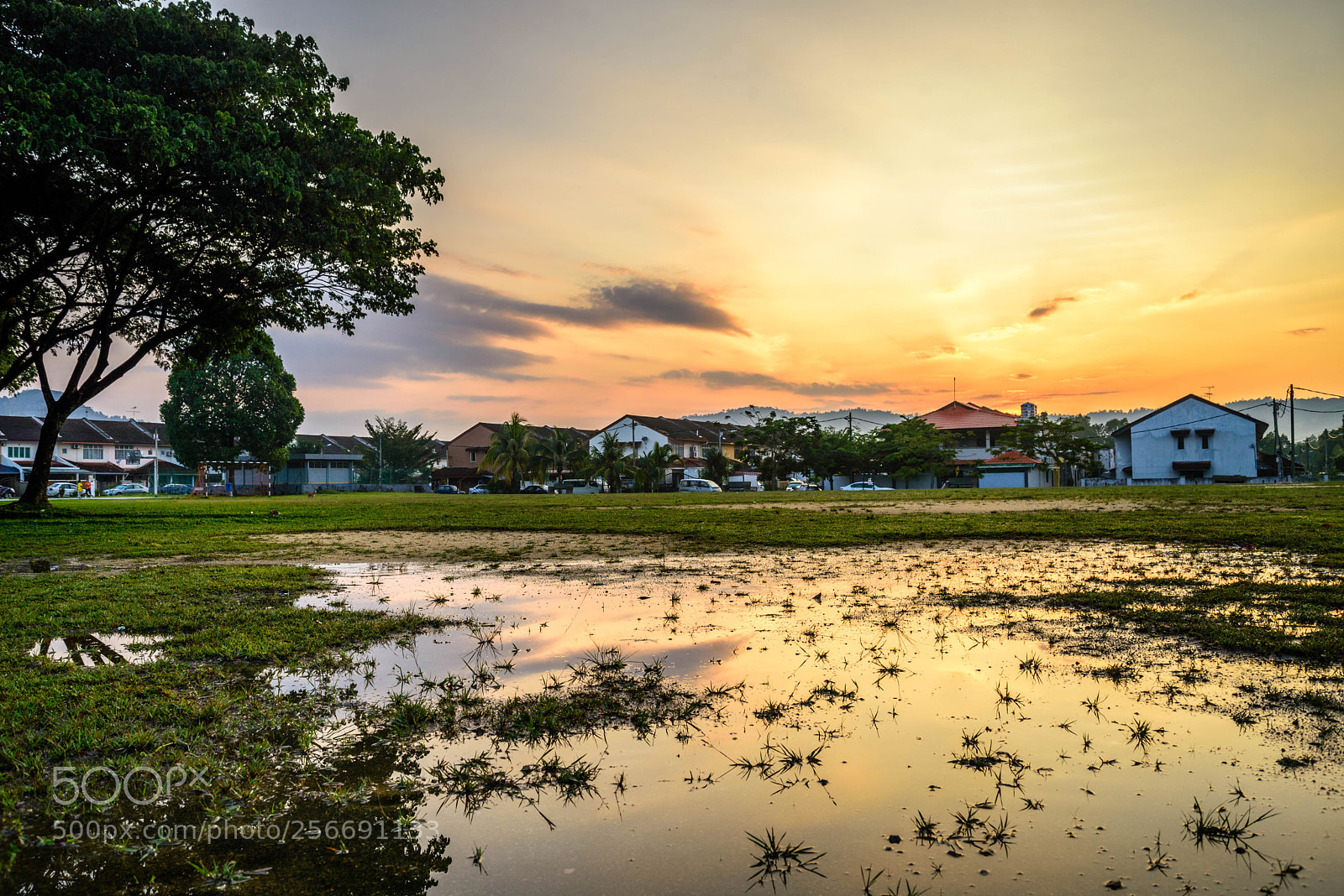 Nikon D610 sample photo. Morning by the football photography