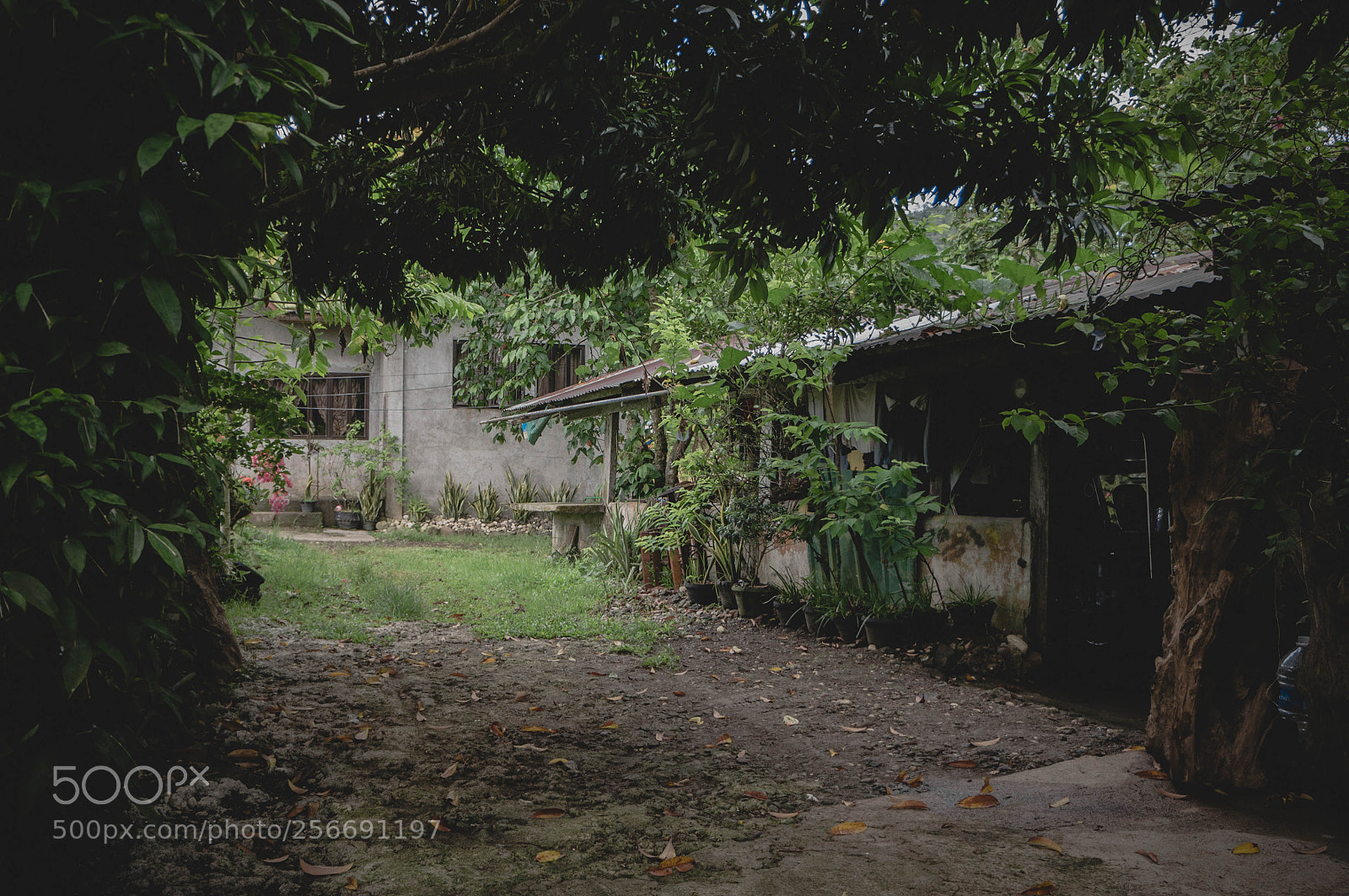 Sony Alpha NEX-5N sample photo. Home photography
