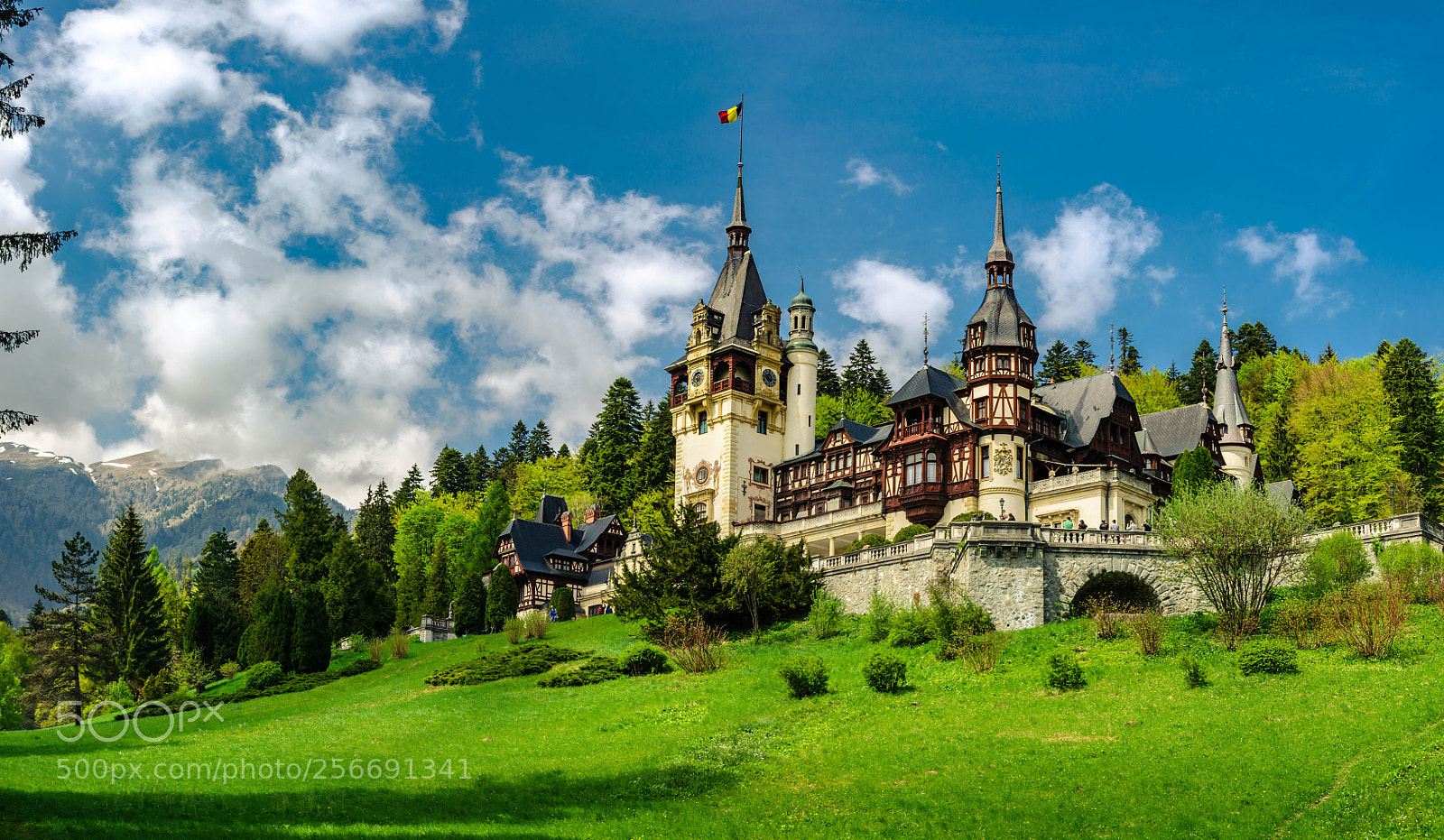Nikon D5100 sample photo. Peles castle photography