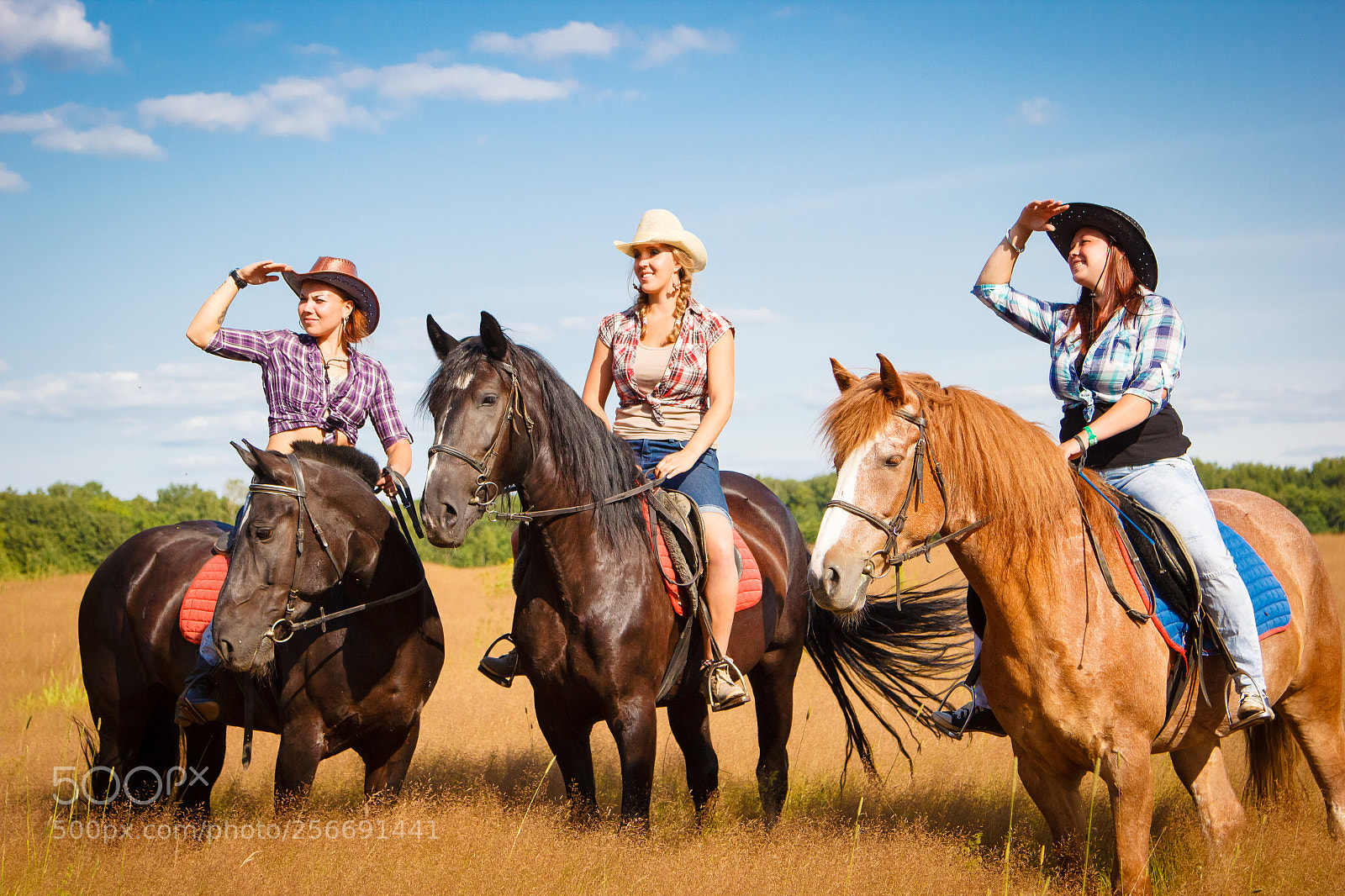 Canon EOS 550D (EOS Rebel T2i / EOS Kiss X4) sample photo. Cowgirls photography