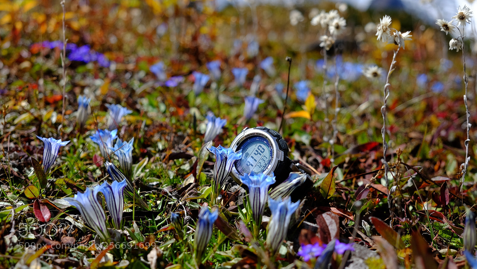 Fujifilm X-E2 sample photo. 西藏印象之四-珠峰东坡徒步 photography