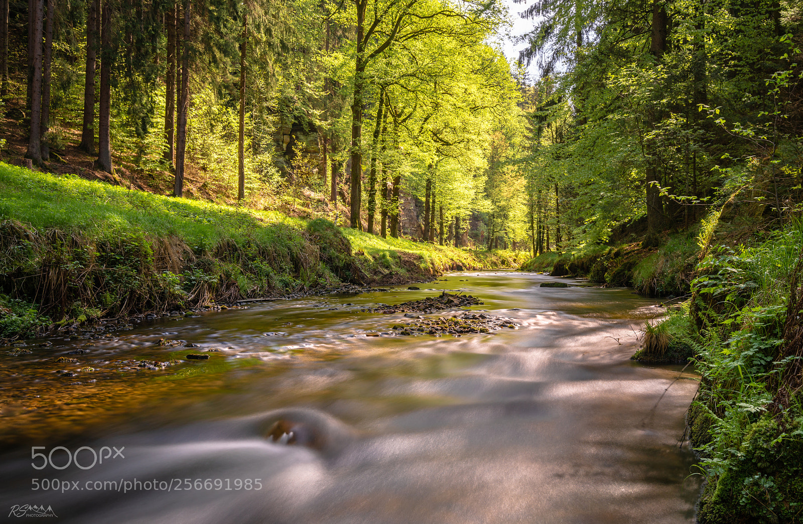 Sony a7R II sample photo. Kirnitzsch valley, germany photography