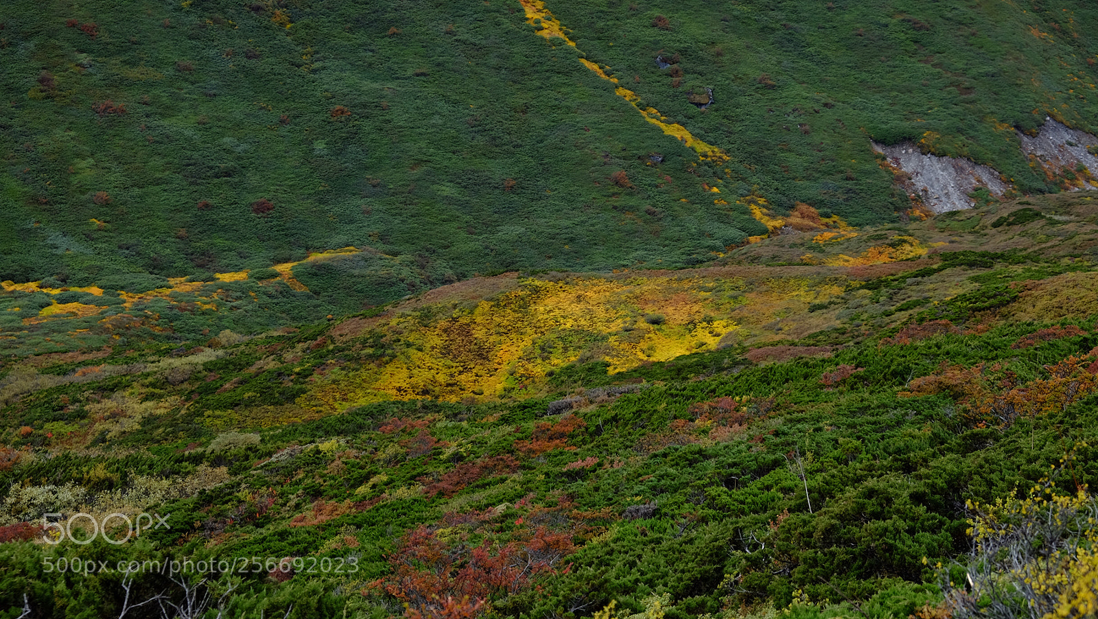 Fujifilm X-E2 sample photo. 西藏印象之四-珠峰东坡徒步 photography