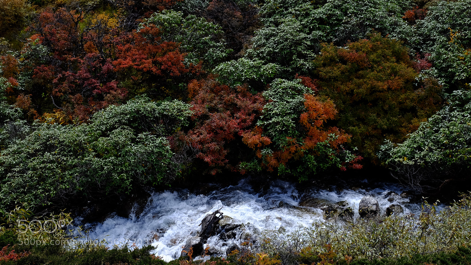 Fujifilm X-E2 sample photo. 西藏印象之四-珠峰东坡徒步 photography