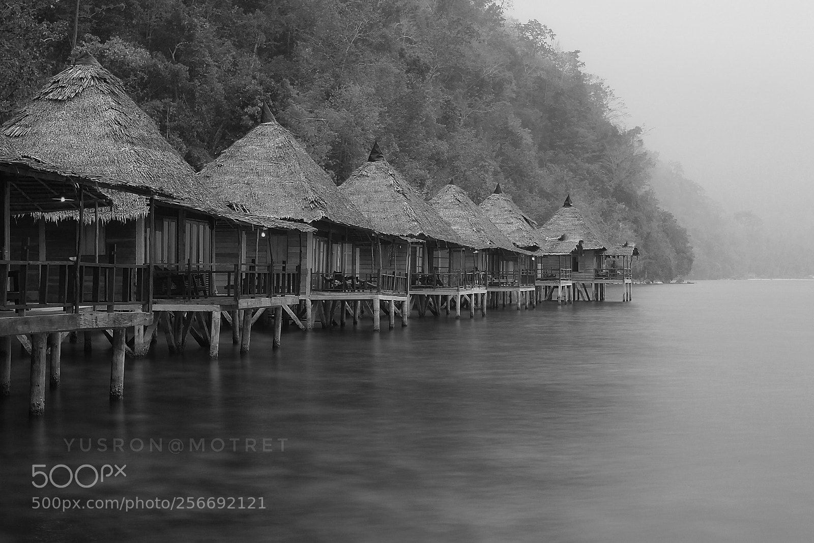 Canon EOS 60D sample photo. One foggy day photography