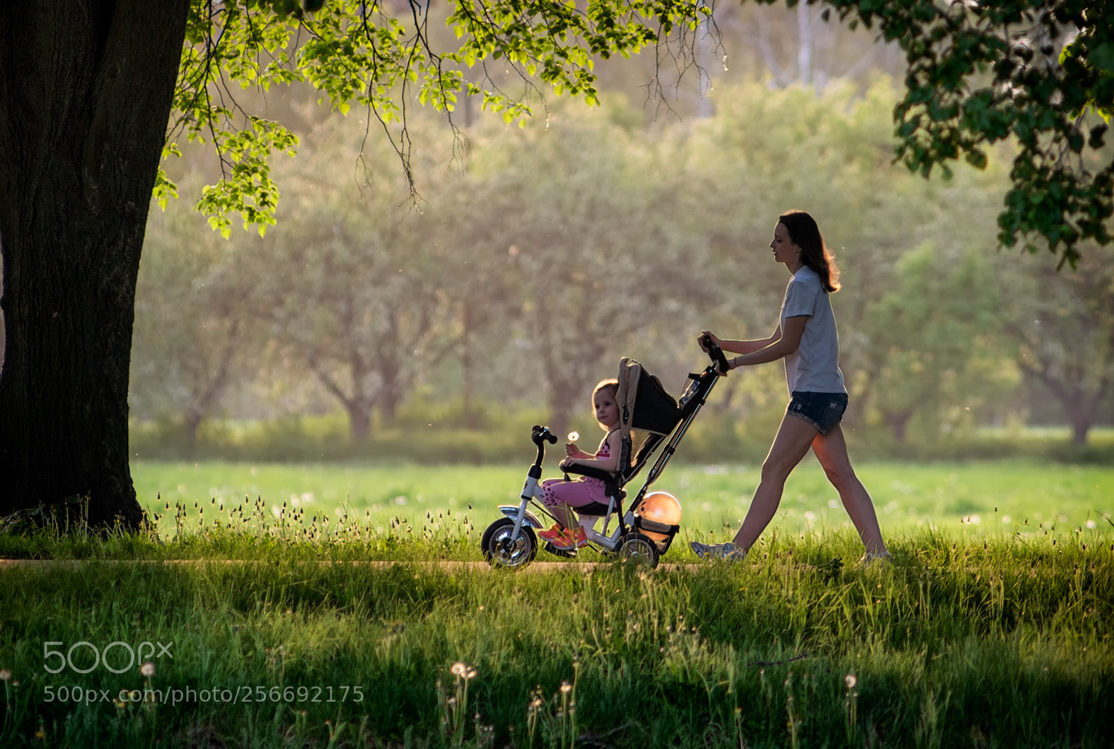 Nikon D810 sample photo. Y photography