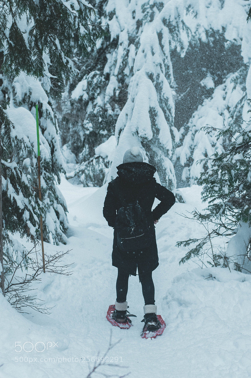 Nikon D3100 sample photo. Explore bc photography