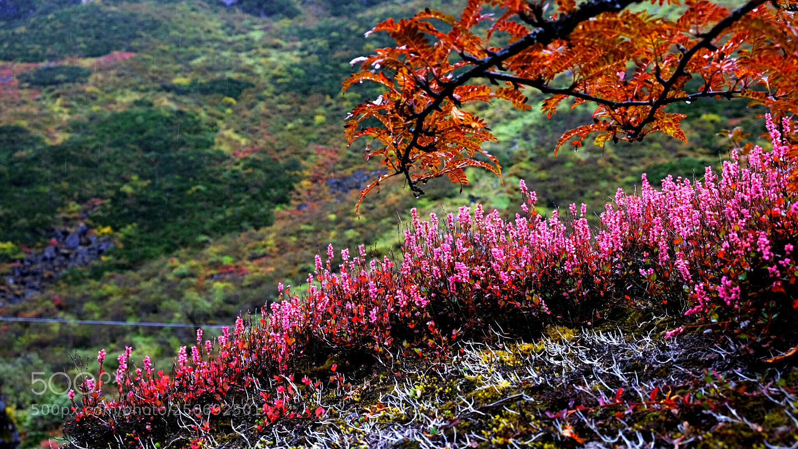 Fujifilm X-E2 sample photo. 西藏印象之四-珠峰东坡徒步 photography