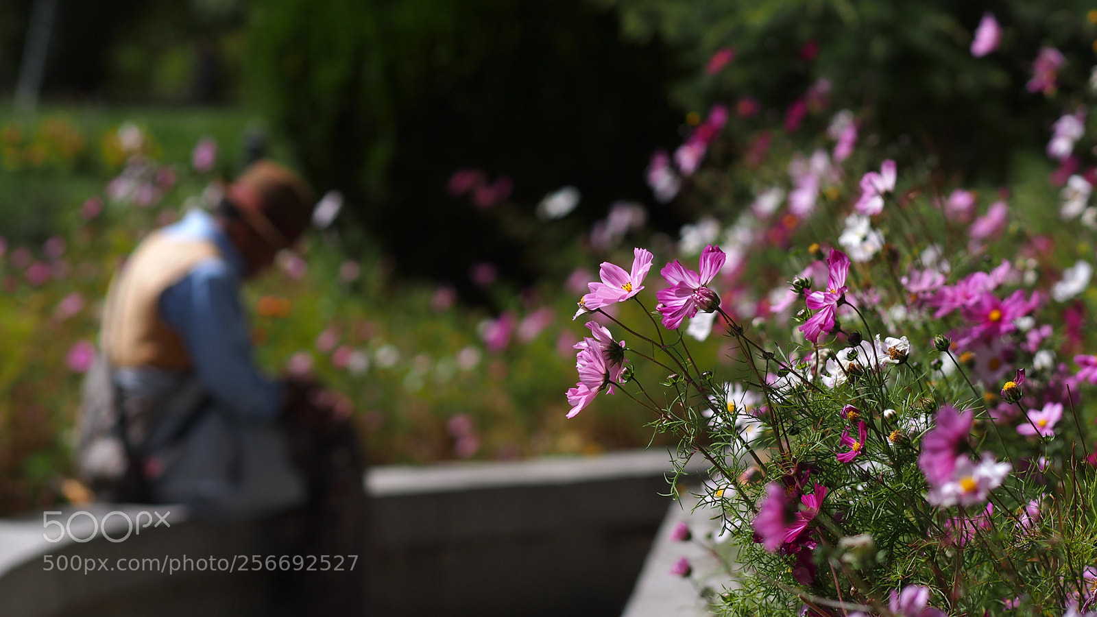 Olympus OM-D E-M5 sample photo. 西藏印象之四-珠峰东坡徒步 photography