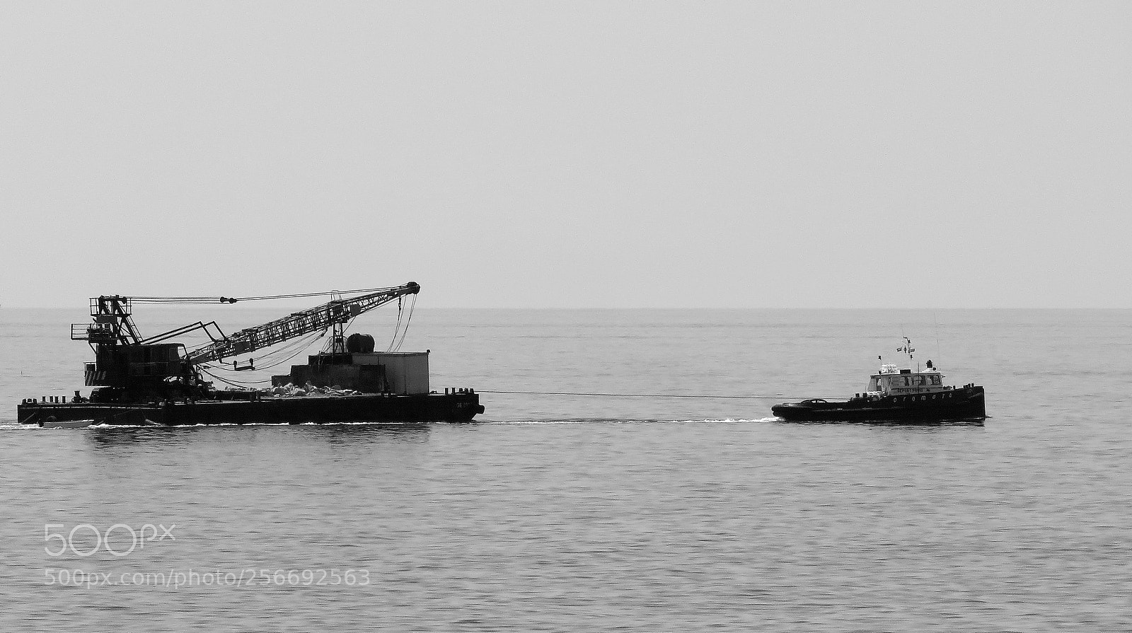 Canon PowerShot SX60 HS sample photo. A crane in the photography