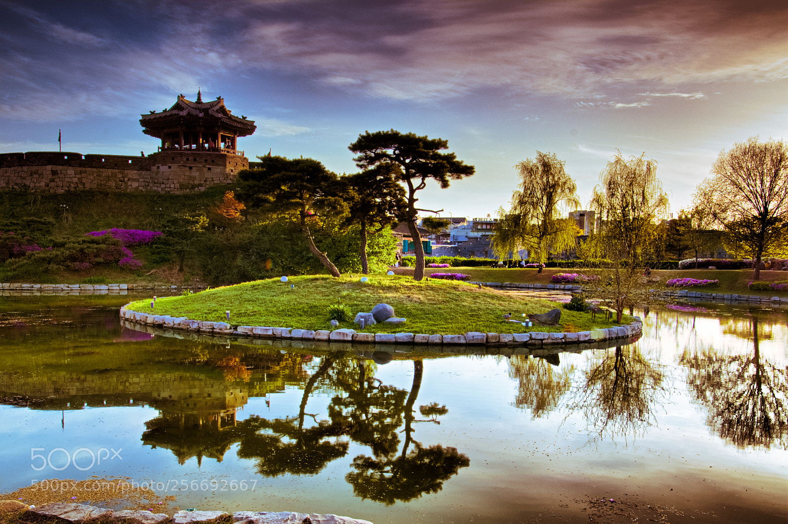 Nikon D500 sample photo. A reflection at sunset photography
