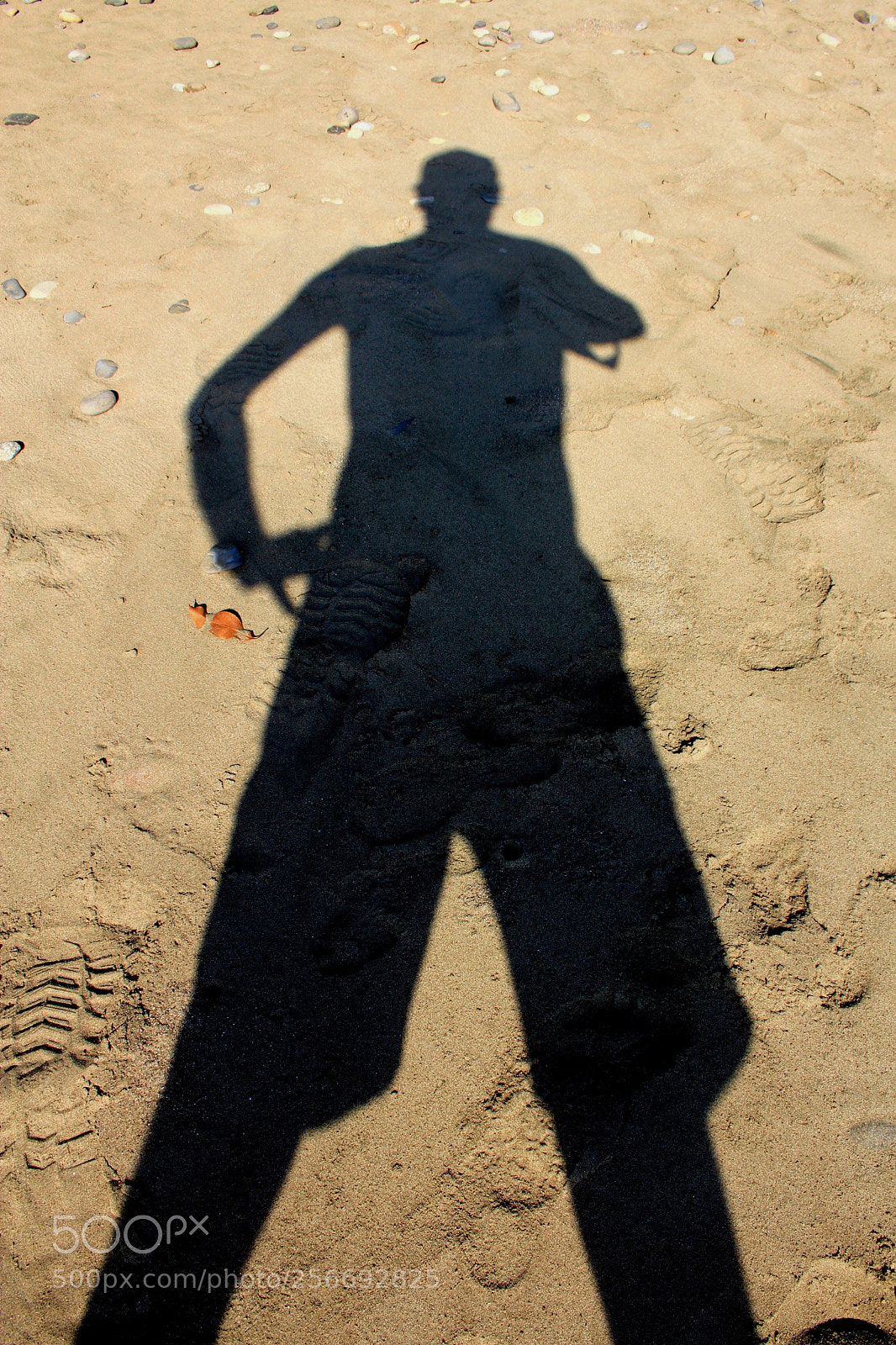 Canon EOS 60D sample photo. Ombre photography