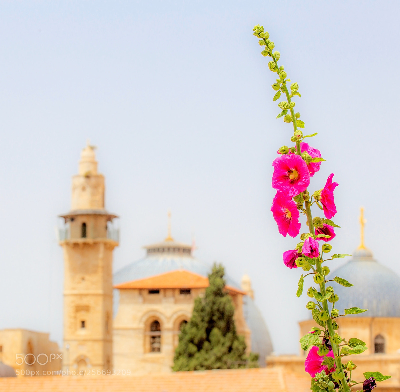 Canon EOS 6D sample photo. Tower power photography
