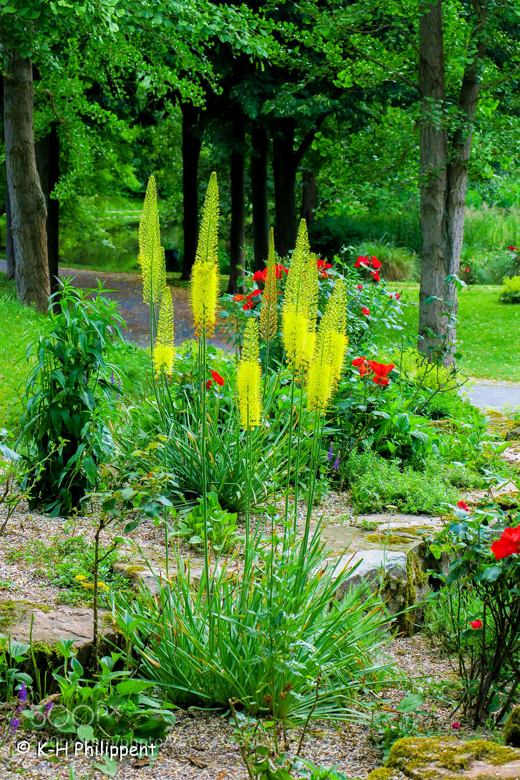Canon PowerShot G3 X sample photo. Vellmar germany , ahnepark photography