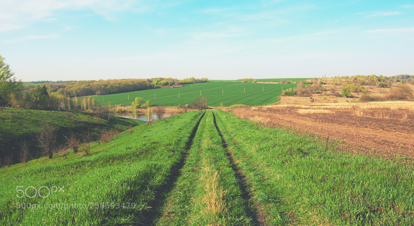 Nikon D5100 sample photo. Country road photography