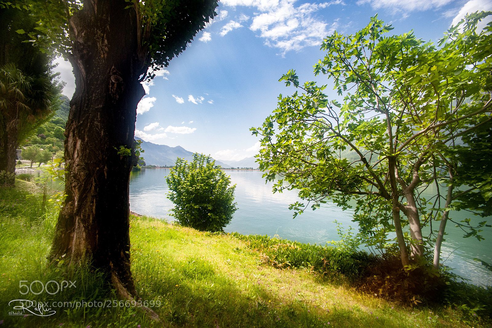 Nikon D3 sample photo. Mezzola lake photography