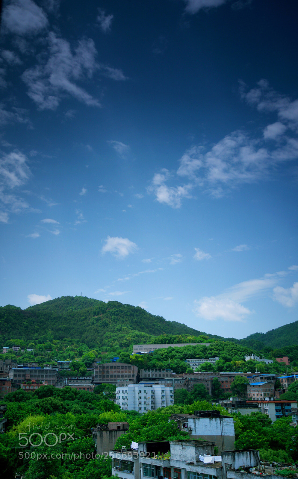 Nikon D810 sample photo. 初夏的感觉 photography