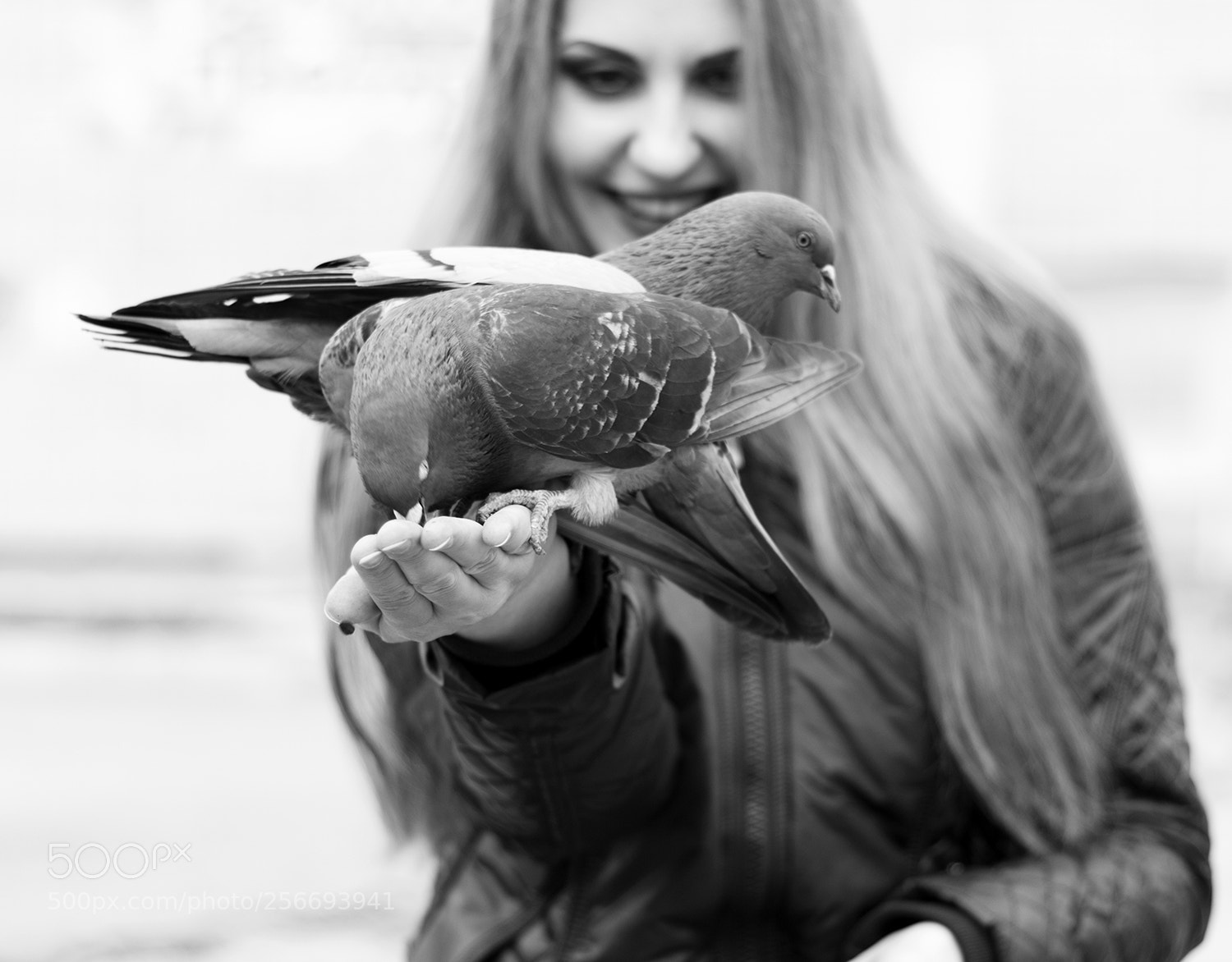 Canon EOS 100D (EOS Rebel SL1 / EOS Kiss X7) sample photo. Feeding birds photography