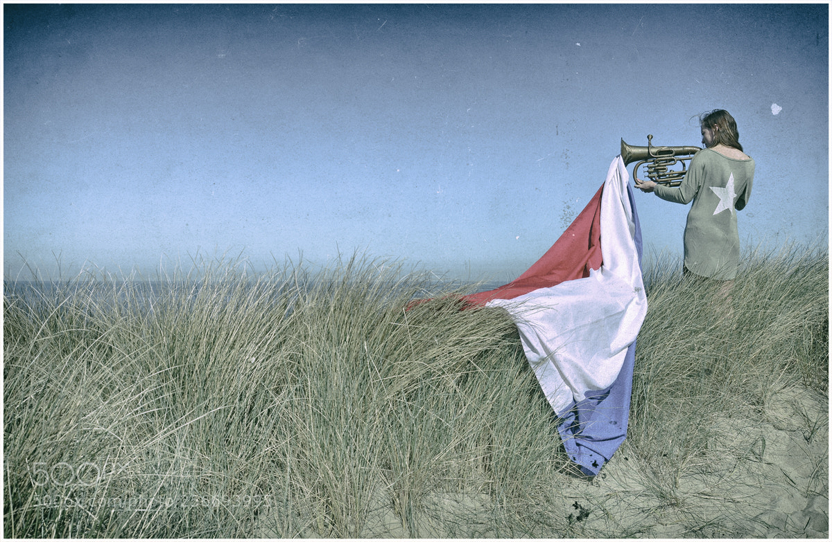 Nikon D7000 sample photo. -liberation day- photography