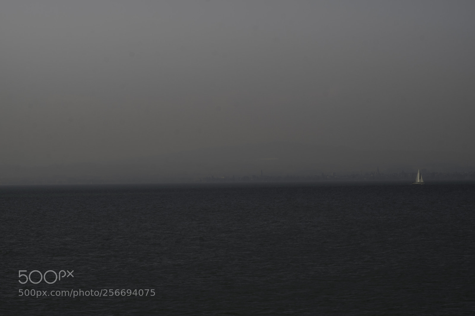 Fujifilm X-T1 sample photo. Der solist photography