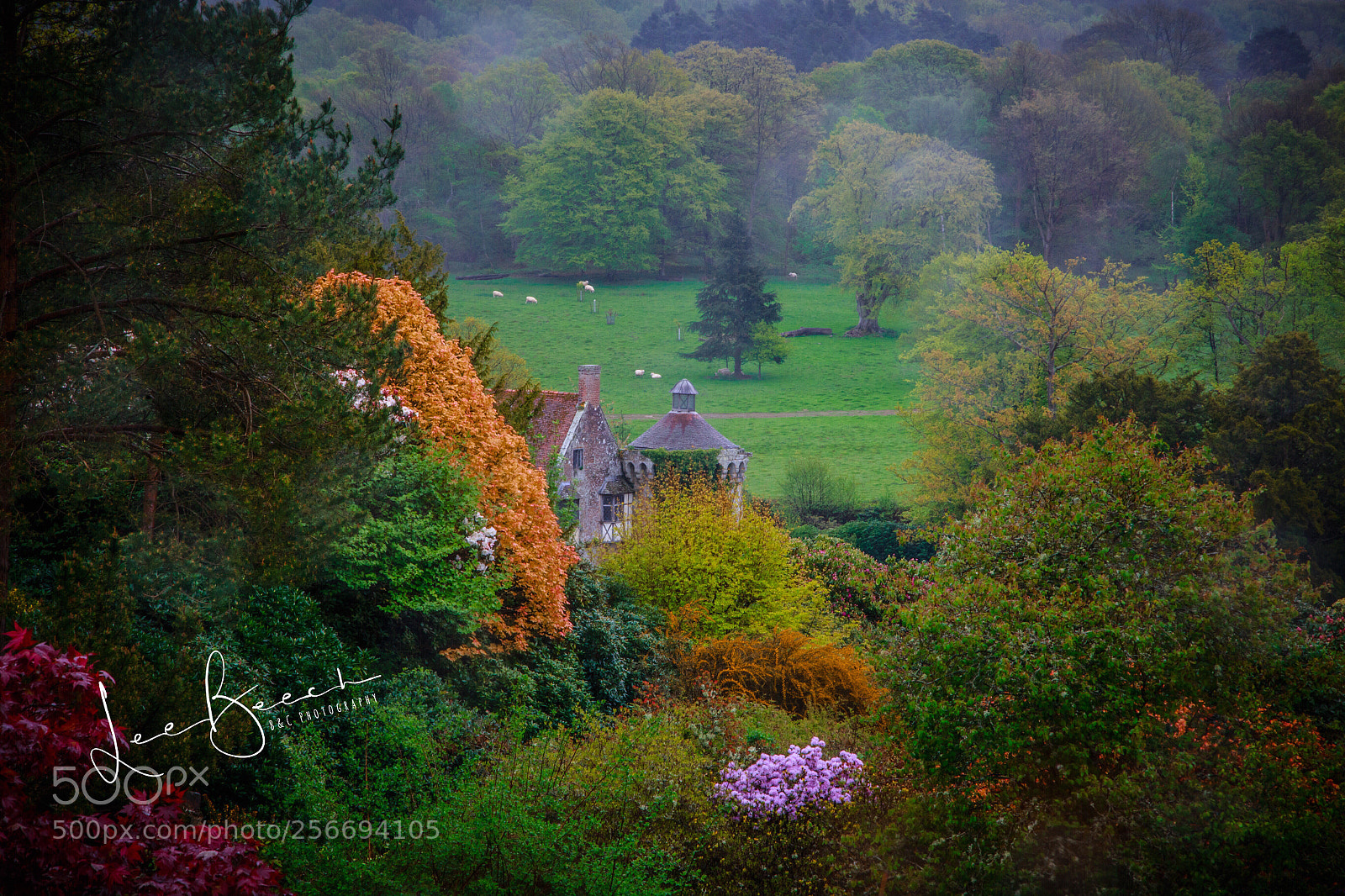 Canon EOS 6D sample photo. Castle in the trees photography