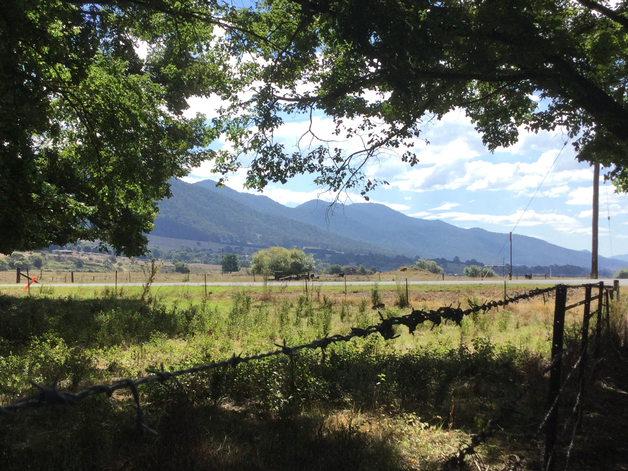 Apple iPad mini 4 sample photo. Along the fence line  photography