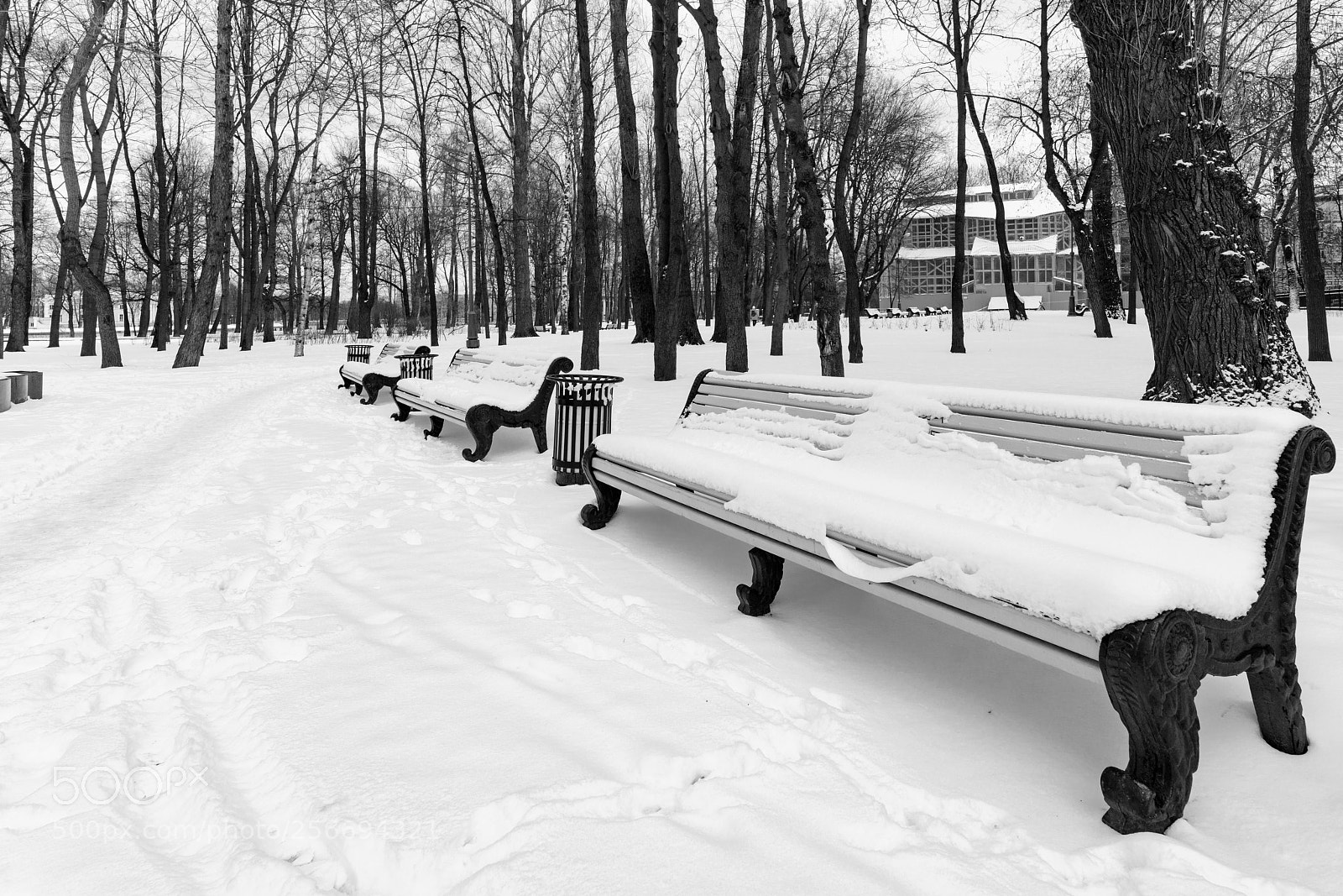Sony a7R II sample photo. S-pb. winter. photography