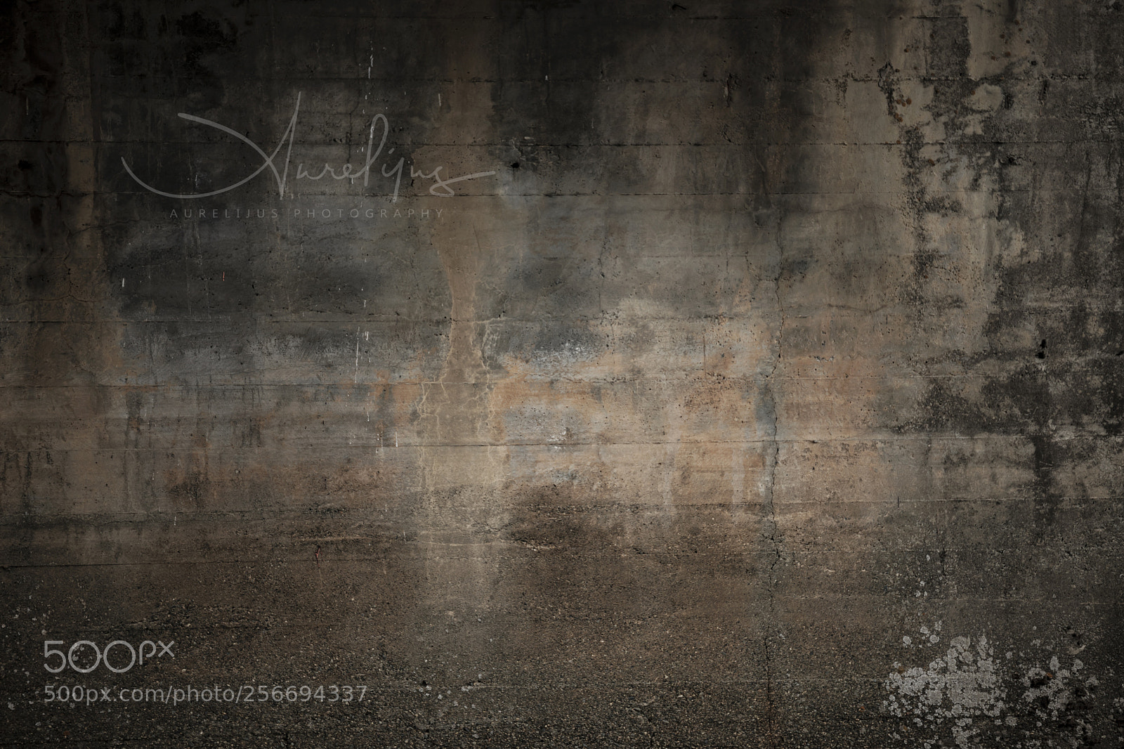 Canon EOS 6D Mark II sample photo. The desktop photography
