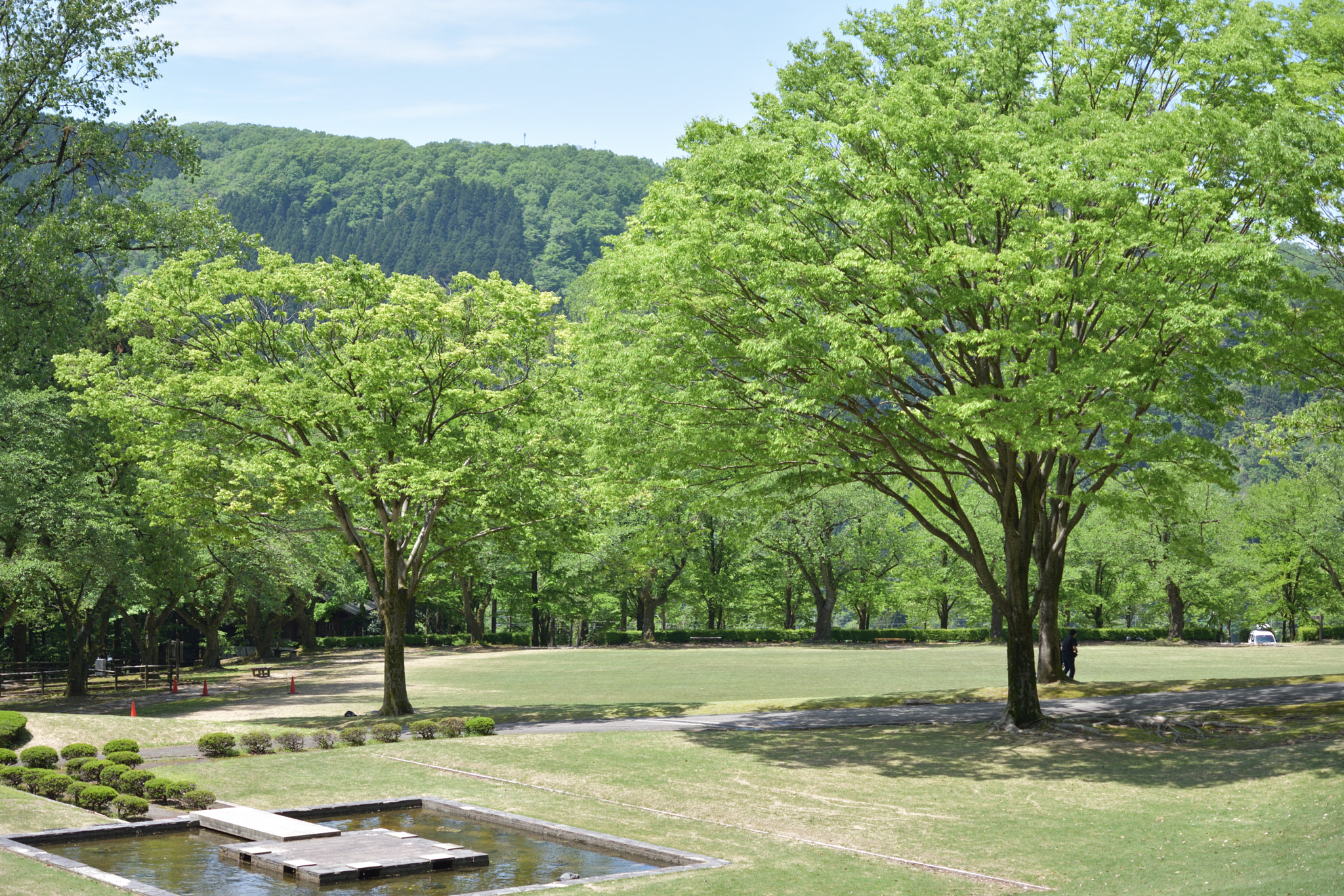 Nikon AF-S Micro-Nikkor 60mm F2.8G ED sample photo. 樹木公園を散歩する。 photography