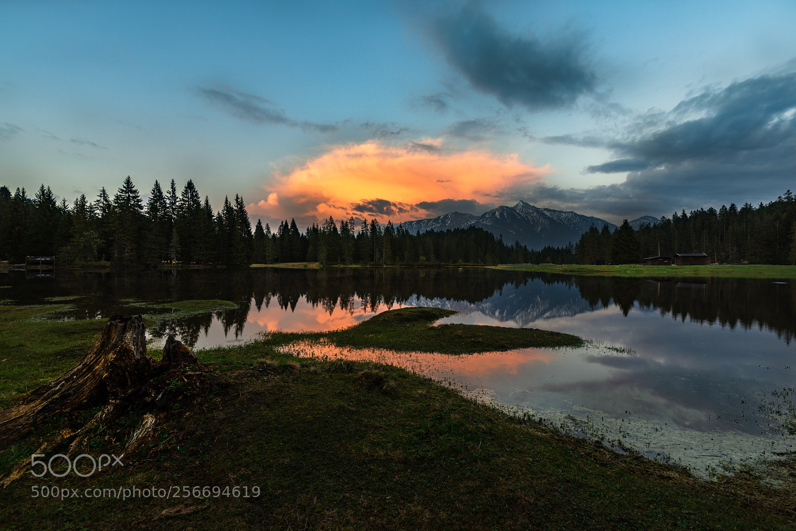 Canon EOS 5D Mark IV sample photo. Sunset wildmoos photography