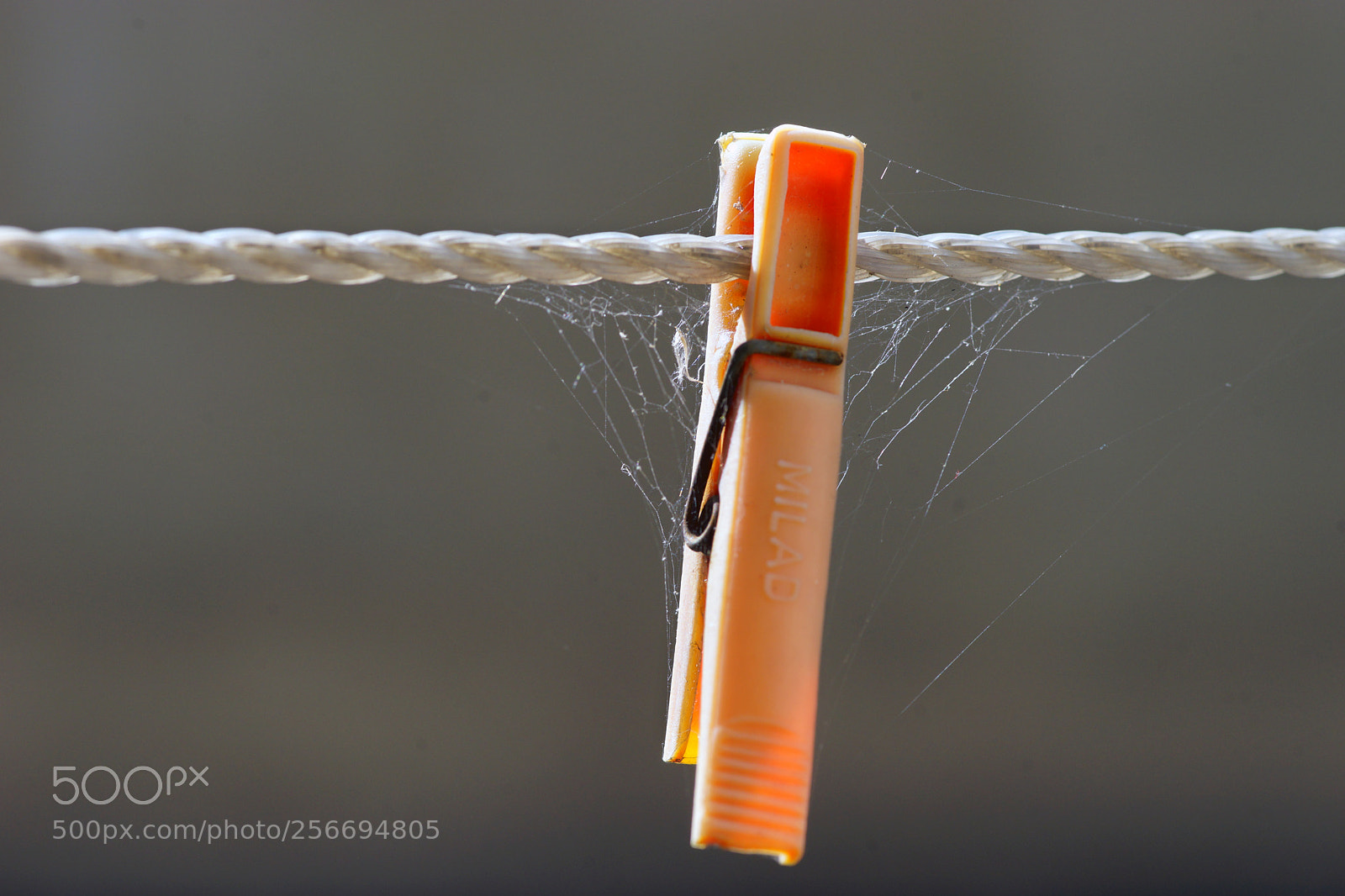 Sony SLT-A99V sample photo. Hanging photography