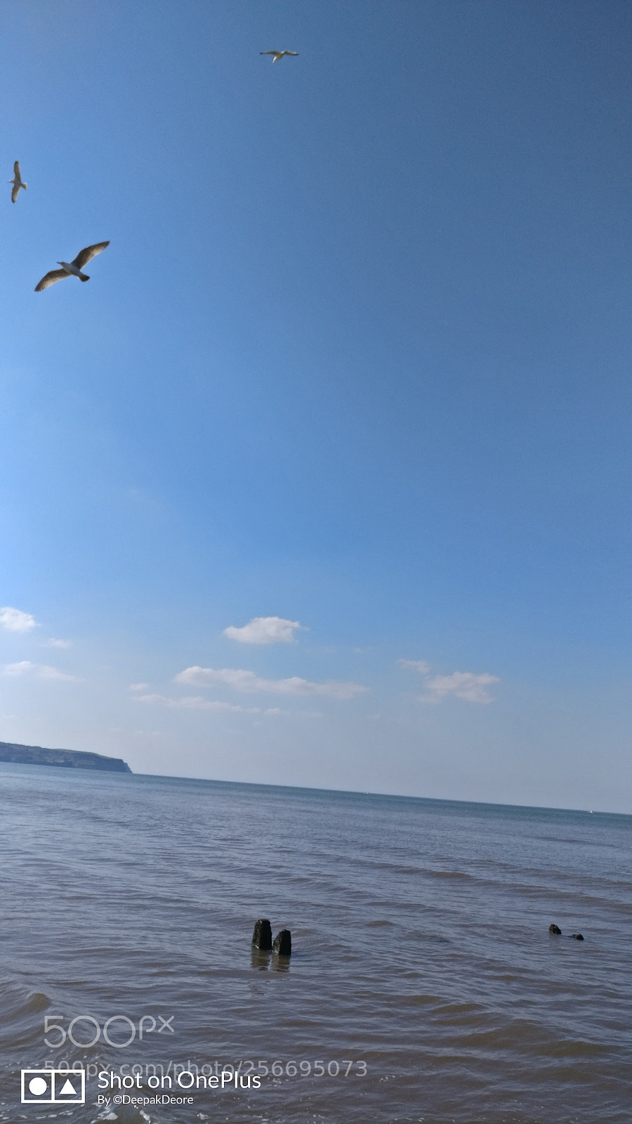 OnePlus A3003 sample photo. Untitled photography