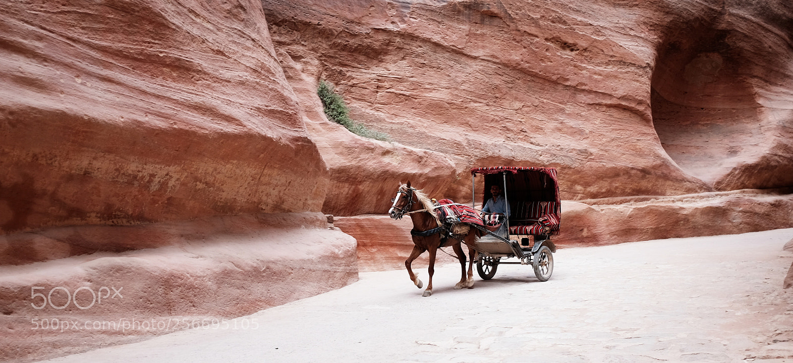 Fujifilm X100T sample photo. Petra taxi photography