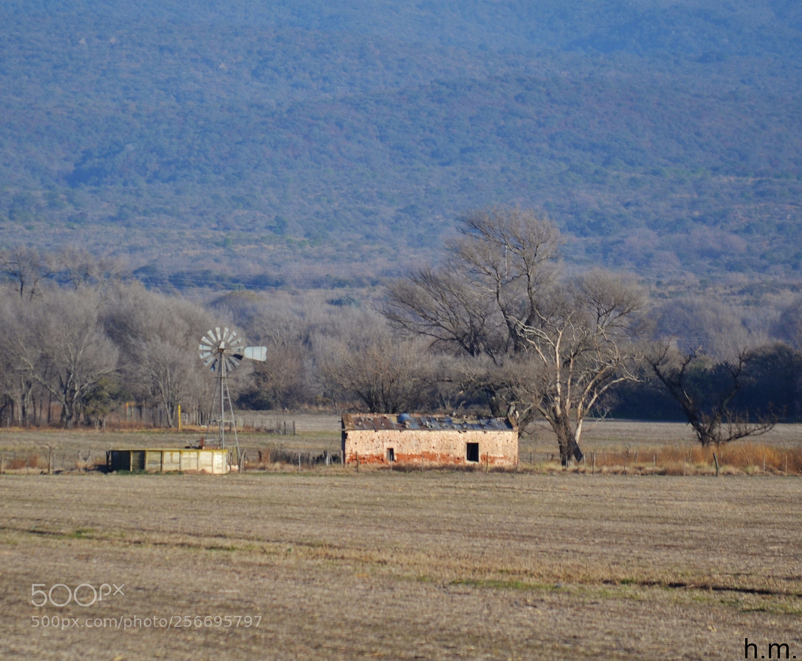 Nikon D3100 sample photo. Ffbo photography