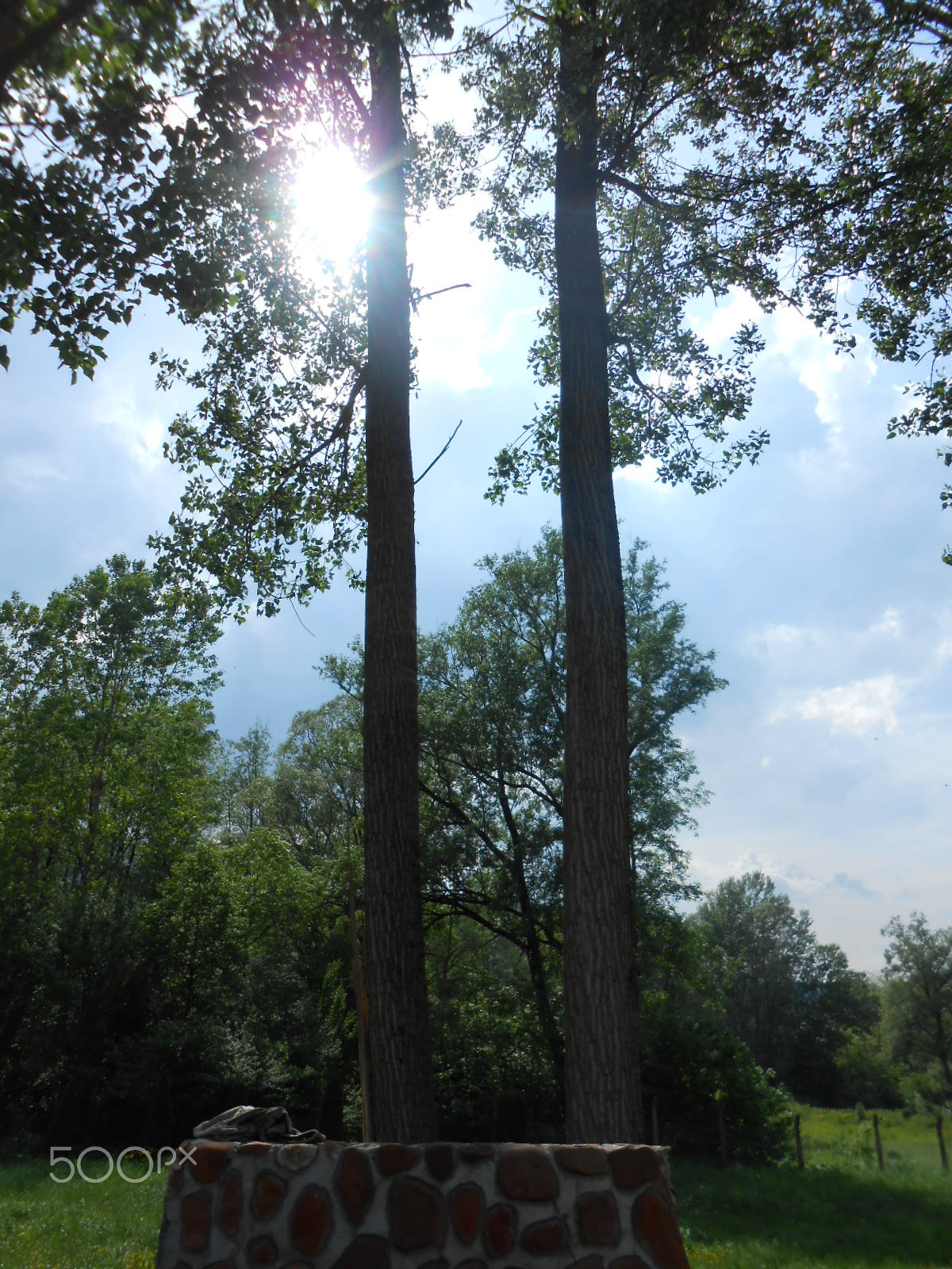 Nikon COOLPIX S2700 sample photo. Wounderfull stone like a giraffe photography