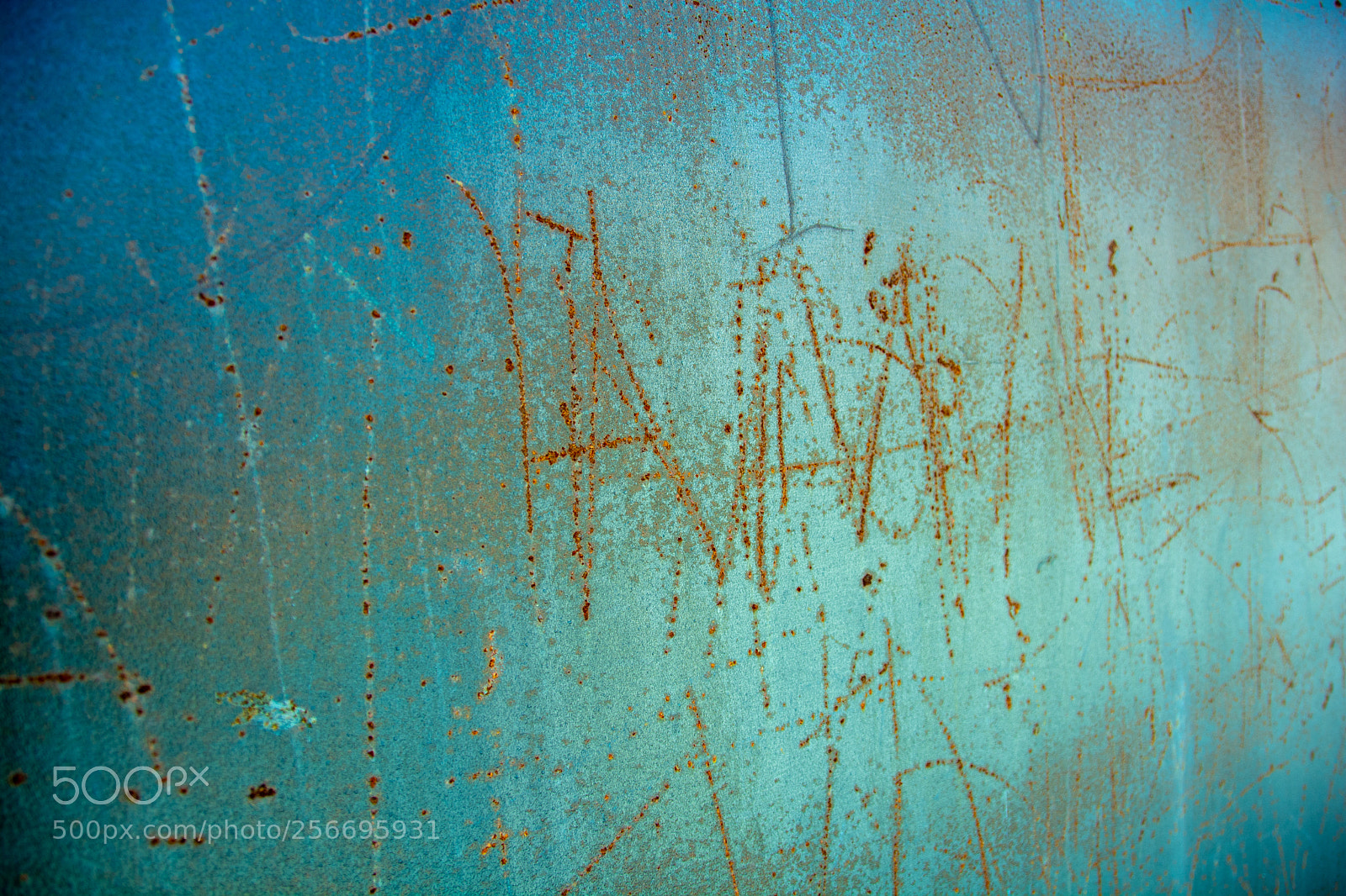 Nikon D7100 sample photo. Human intervention photography