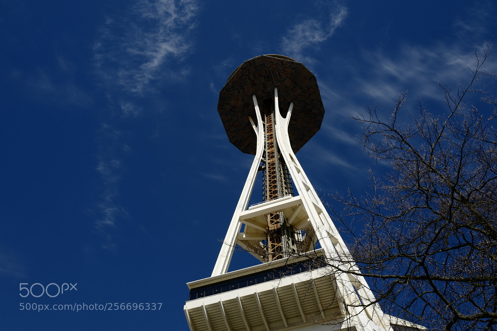 Leica Q (Typ 116) sample photo. Space needle photography