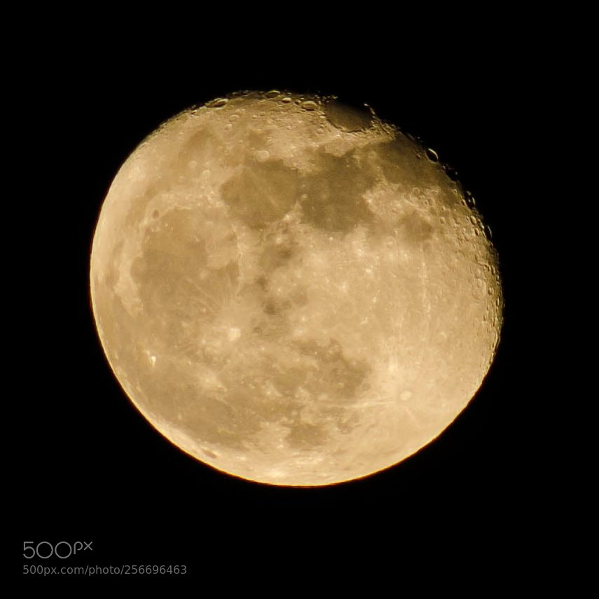 Nikon D7000 sample photo. Lune photography