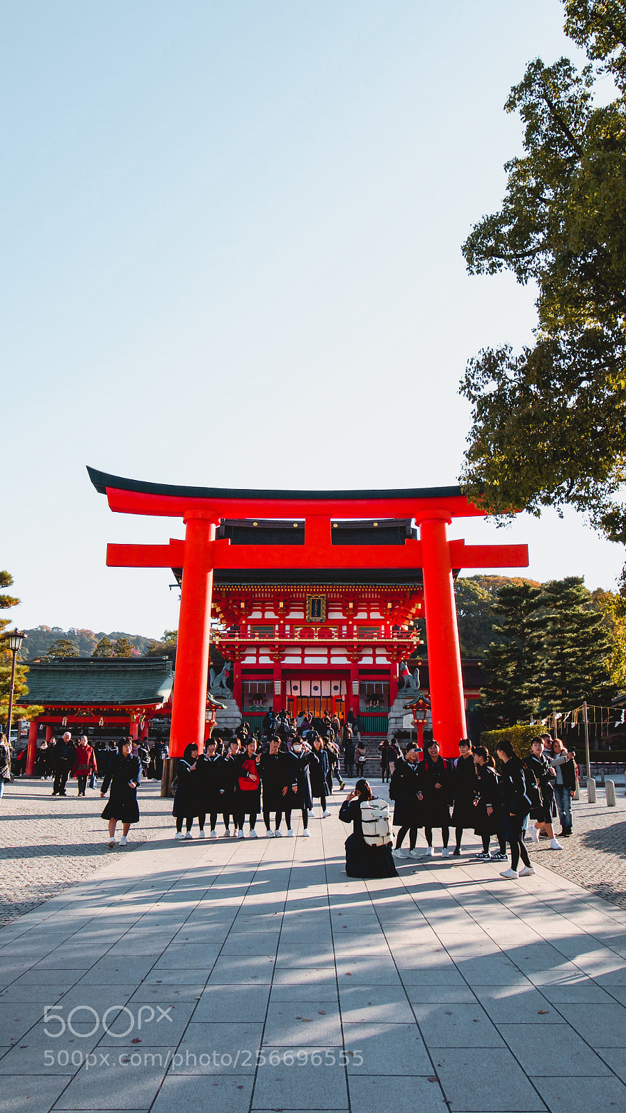 Panasonic Lumix DMC-G7 sample photo. Fushimi inari taisha shrine photography