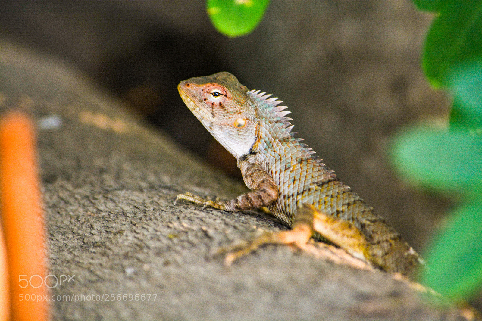 Nikon D5200 sample photo. Untitled photography