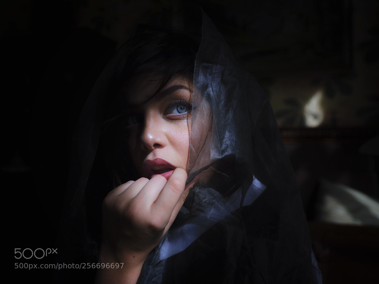 Fujifilm GFX 50S sample photo. From the depths of photography