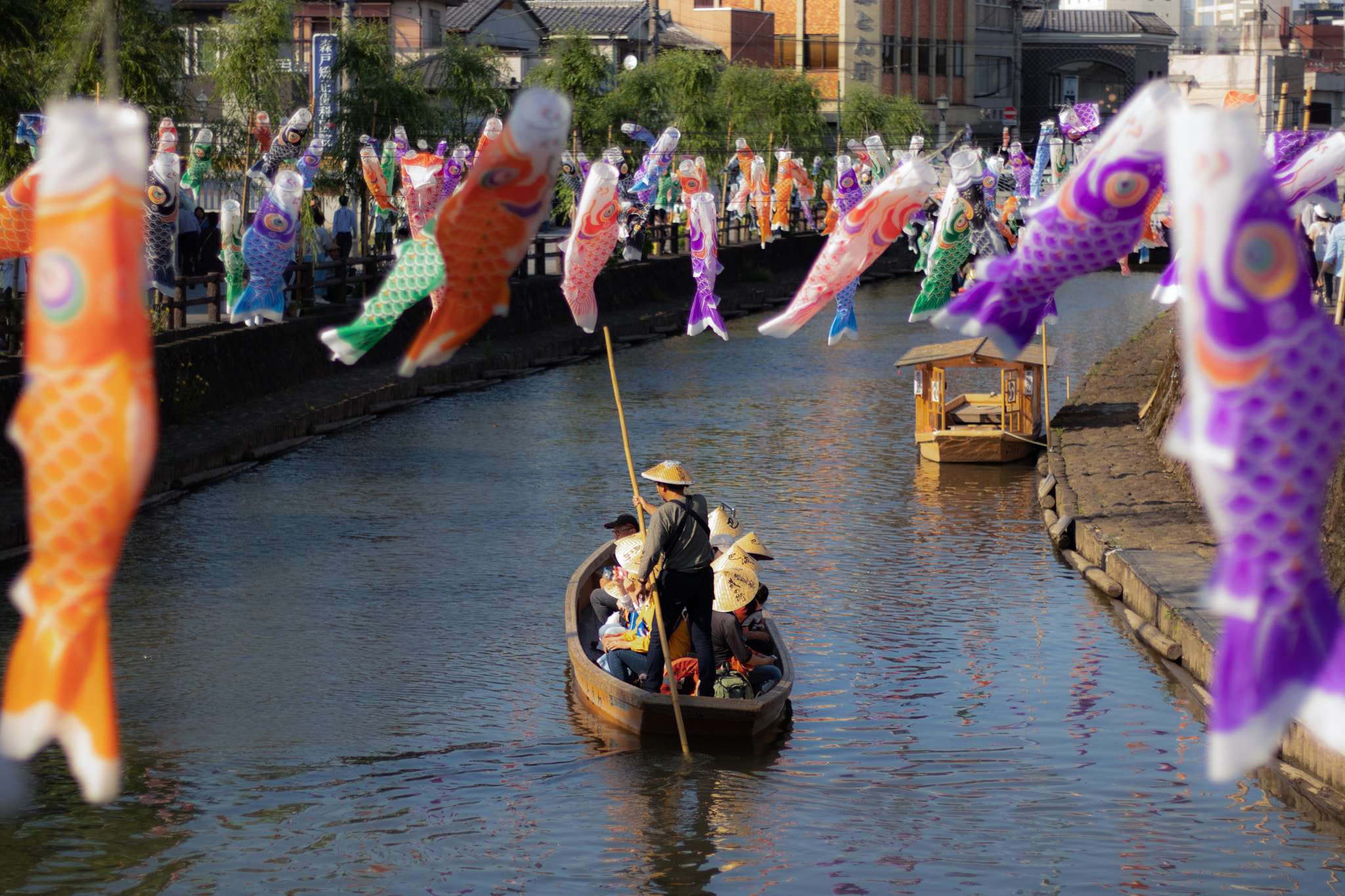 Canon EOS M100 sample photo. Carp streamers flying in the wind photography