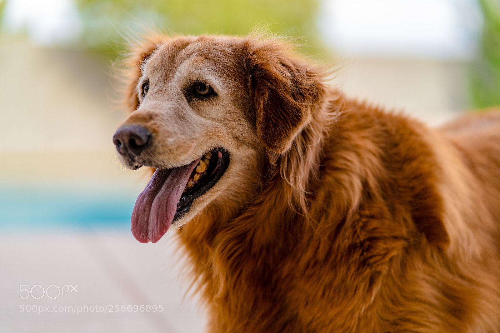 Sony a7 III sample photo. Untitled photography