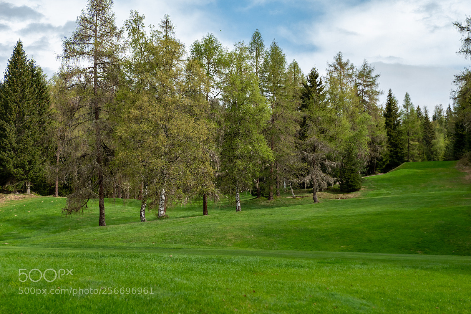 Panasonic Lumix DMC-LX10 (Lumix DMC-LX15) sample photo. Round of golf? photography