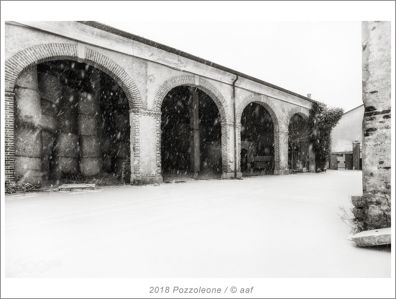 Canon EOS 5D Mark II sample photo. Pozzoleone photography