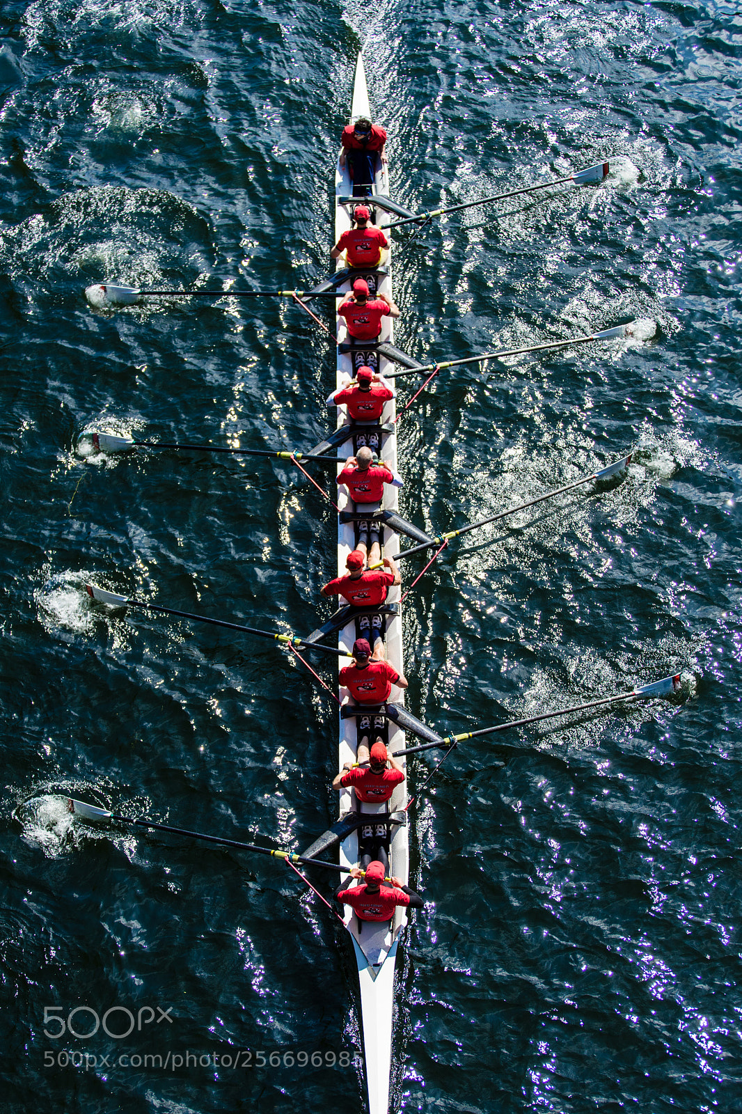 Sony a7 II sample photo. Windermete cup photography