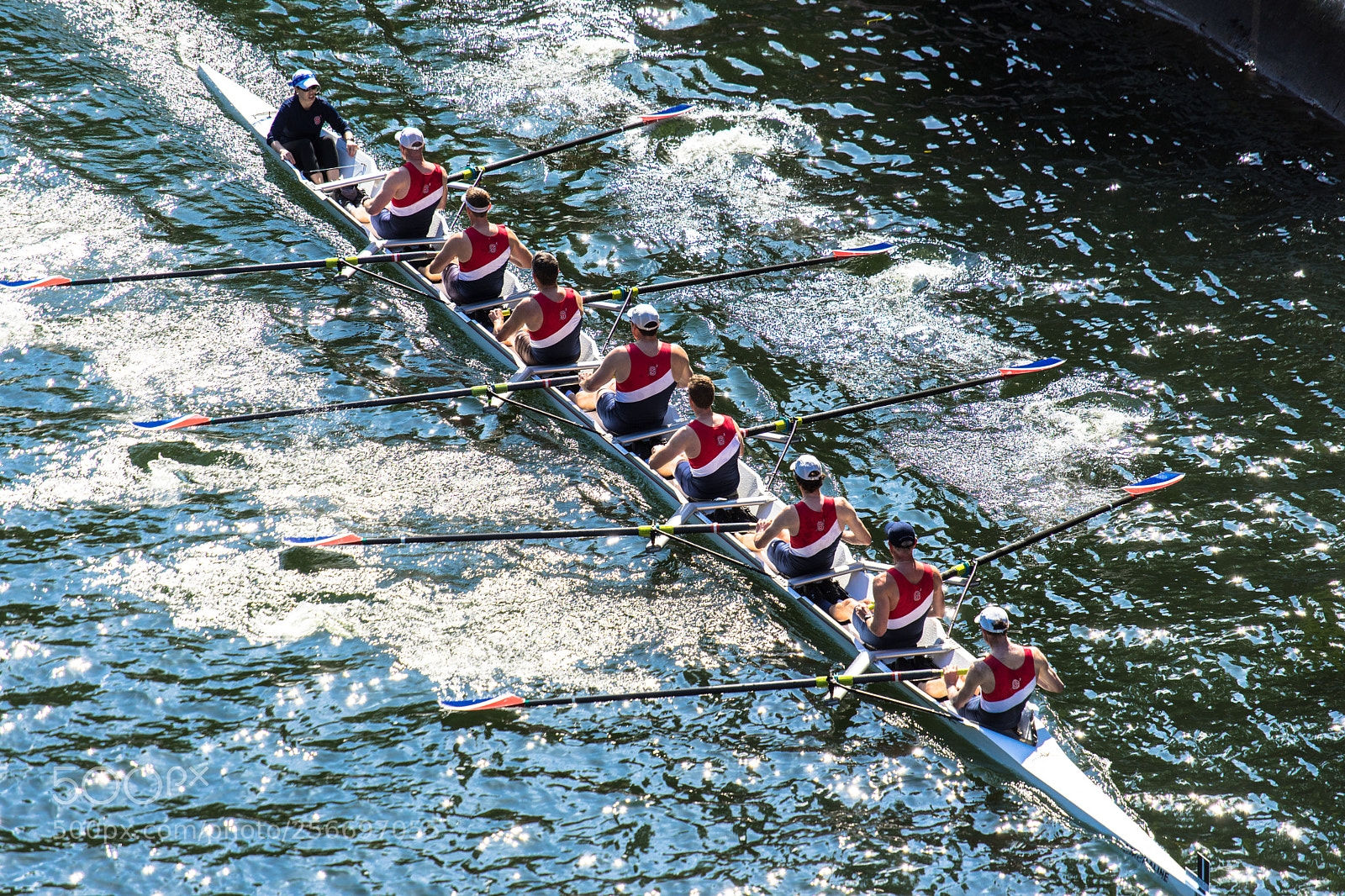 Sony a7 II sample photo. Windermere cup photography