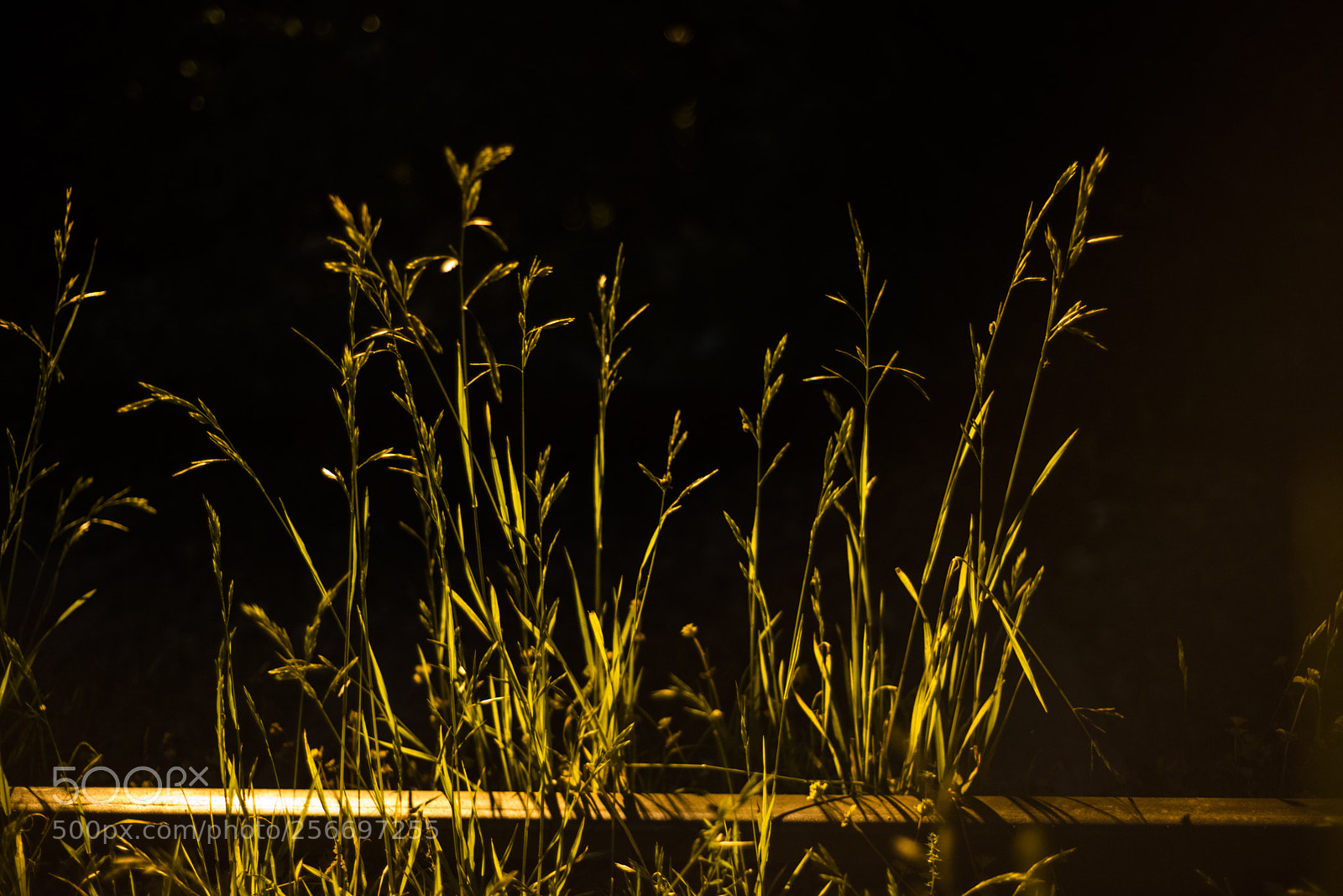 Nikon D810 sample photo. On the railroad  no.7 photography