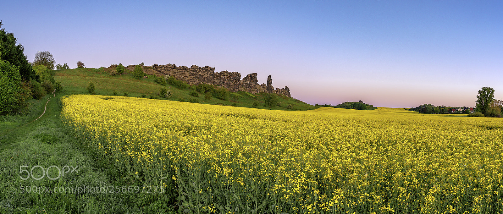 Nikon D810 sample photo. Golden sunrise - the photography